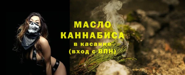 индика Карпинск