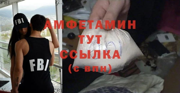 индика Карпинск