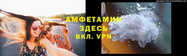 индика Карпинск