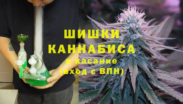 индика Карпинск