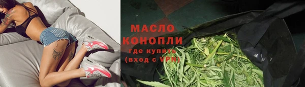 индика Карпинск
