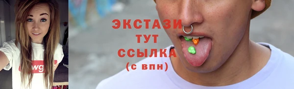 индика Карпинск