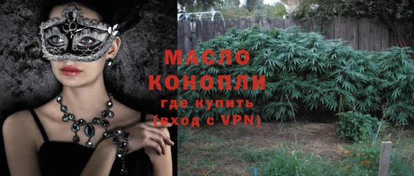 индика Карпинск