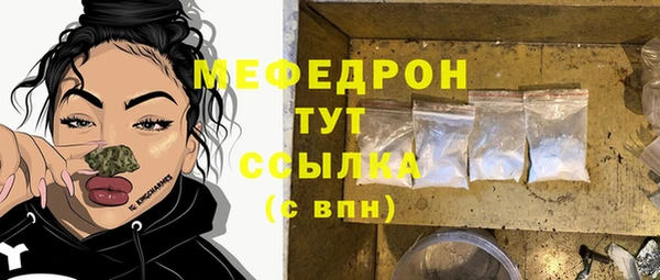 индика Карпинск