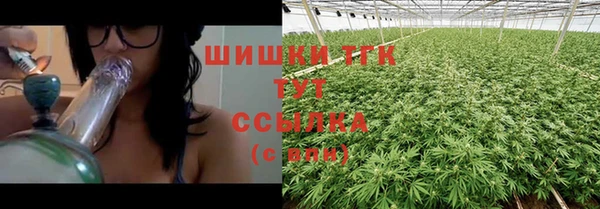 индика Карпинск