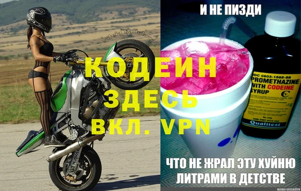 индика Карпинск