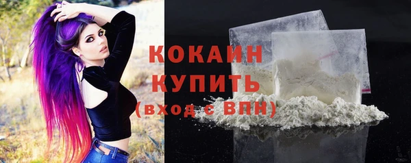 индика Карпинск